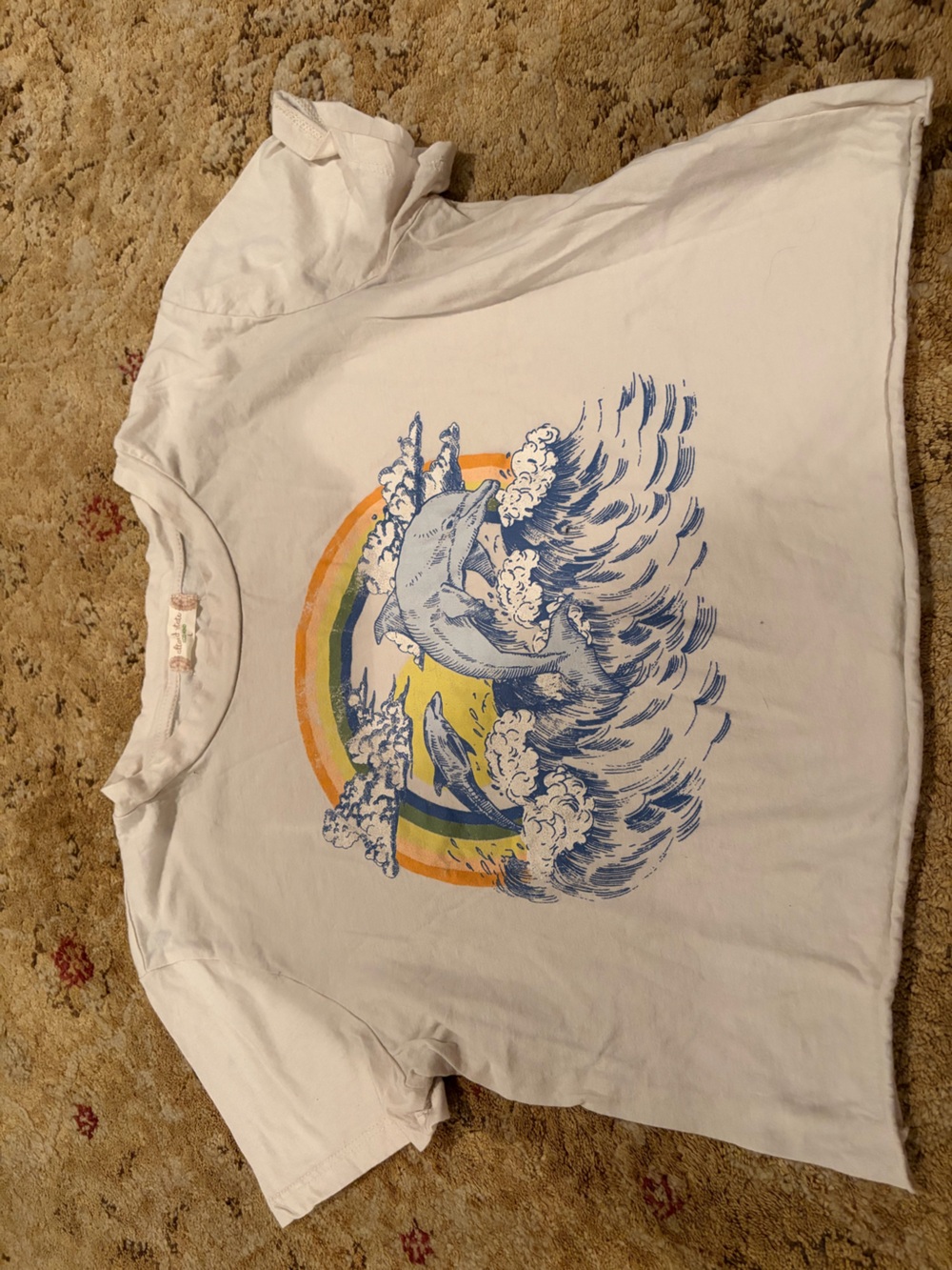 Altrd State White Graphic Dolphin Tee with Rainbow Waves Large cropped